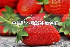 草莓能不能放冰箱保鲜 草莓可以放冰箱保鲜