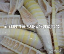 新鲜的竹笋怎样保存才能放久 新鲜竹笋可放于冰箱冷藏区保存