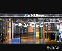 mlb在中国怎么叫 mlb在中国也称为mib