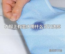 衣服上有墨水用什么可以洗掉 衣服上的墨水可用洗衣液洗掉