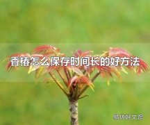 香椿怎么保存时间长的好方法 香椿属于什么植物