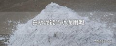 白水泥能当水泥用吗