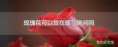 玫瑰花可以放在暖气房间吗