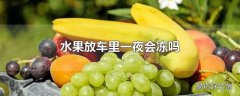 水果放车里一夜会冻吗