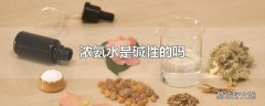 浓氨水是碱性的吗