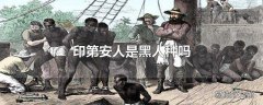 印第安人是黑人种吗