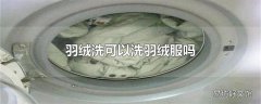 羽绒洗可以洗羽绒服吗