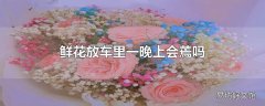 鲜花放车里一晚上会蔫吗