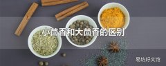 小茴香和大茴香的区别