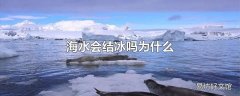 海水会结冰吗为什么