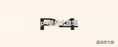 p4是什么意思