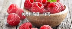 树莓和桑葚一样吗