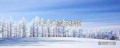 关于大雪的标题