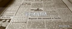 副刊体裁包括