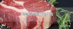 羊肉鸭肉哪种是白肉